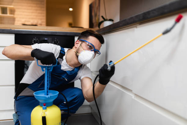 Professional Pest Control in Upper Montclair, NJ