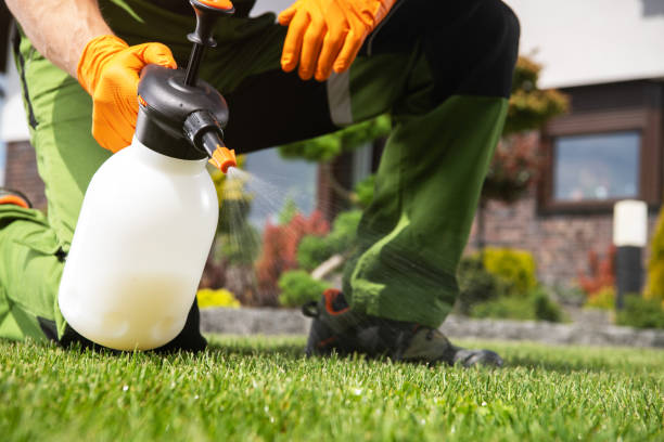 Best Wasp Removal Services  in Upper Montclair, NJ
