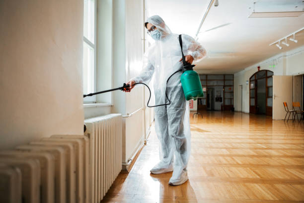 Best Flea Control Services  in Upper Montclair, NJ