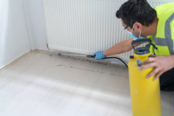 Best Best Pest Control Companies  in Upper Montclair, NJ