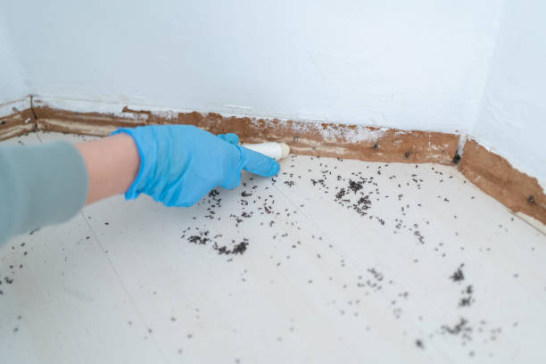 Best Pest Inspection Near Me  in Upper Montclair, NJ